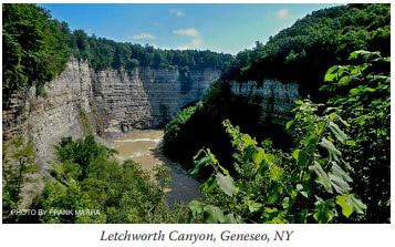 Picture of Letchworth Canyon, Geneso, NY