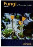 Fungi of Temperate Europe Volume 13 book cover