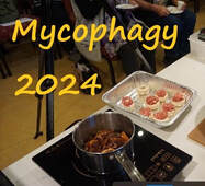 Picture of Mycophagy 2024 banner