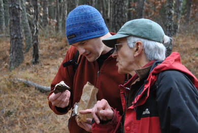 Picture - Luke Smithson and John Burghardt examining mushroom in the field