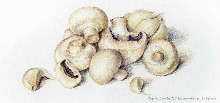 Illustration of several button mushrooms'