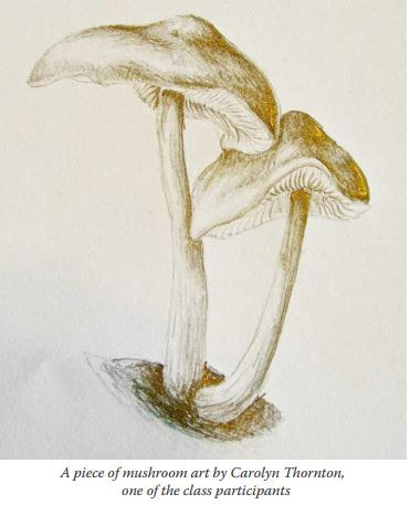 Illustration of pair of mushrooms by Carolyn Thorton, one of the class participants