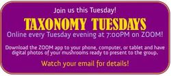 Picture of TaxonomyTuesdays Ad