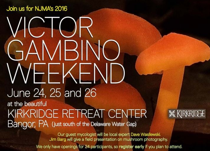 Picture of 2016 Ad for Victor Gambino Weekend
